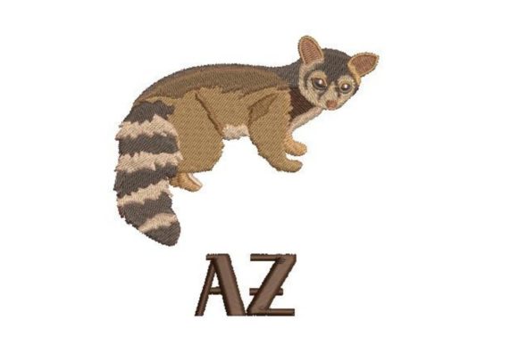 Ringtailed Cat AZ: A Designer's Honest Review